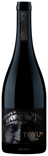 2020 San Pedro 1865 Tayu Pinot Noir Vivino Us