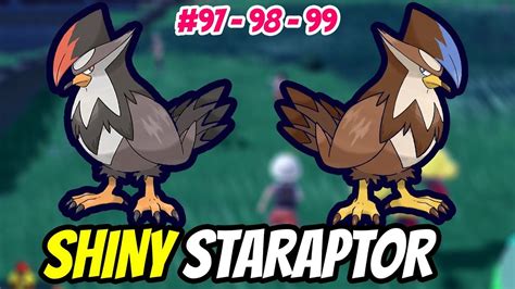 SHINY Starly Evolve SHINY Staraptor - POKEDEX #97 #98 #99 - Pokemon ...