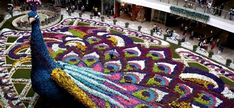 Festival of the Flowers Medellin Feria de las Flores 2025