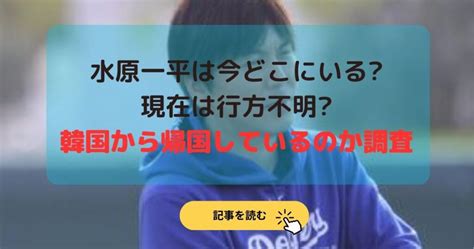 水原一平は今どこにいる現在は行方不明韓国から帰国しているのか調査 ねこまんま