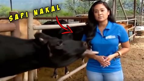 10 KEJADIAN MEMALUKAN DAN TAK TERDUGA SAAT SIARAN BERITA YouTube