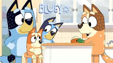 Watch Bluey full season and episodes now