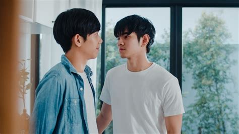 Couple Gay Asiatique Debout Et Salle à La Maison Jeunes Beaux Lgbtq S embrasser Heureux Se