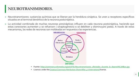 Tema Neurociencia Cerebro Humano Pptx