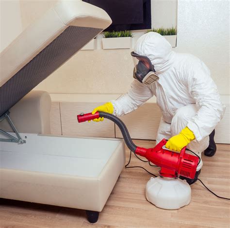 Pest Control In Hotel Housekeeping Singapore Avalon Services