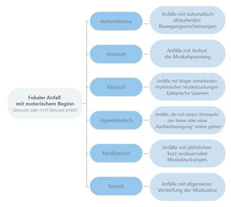 Was Ist Ein Epileptischer Anfall Ursachen Symptome Und Diagnose