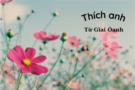 Mách bạn top bài nhạc Douyin hot Tik Tok được yêu thích