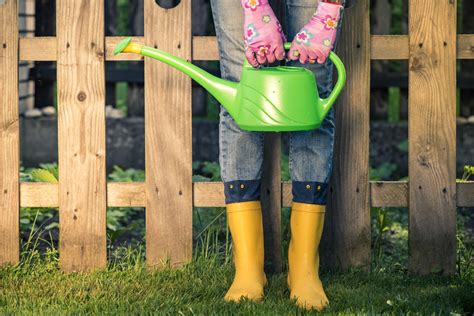 Appreciating The Unexpected Health Benefits Of Gardening Frugal Gardening