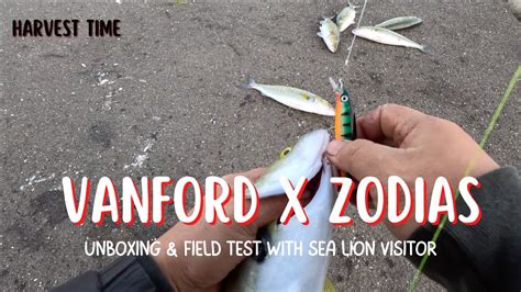 Unboxing And Field Testing Shimano Vanford Hg X Shimano Zodias