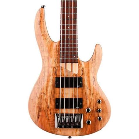 The 9 Best 5 String Bass Guitars The Ultimate 2022 Guide