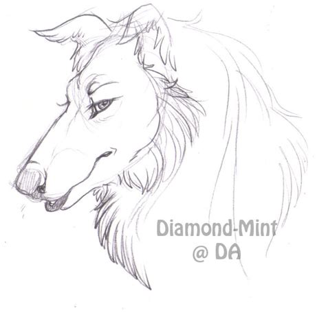 Borzoi Sketch By Diamond Mint On Deviantart