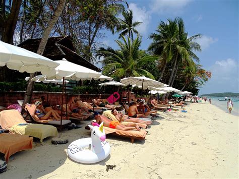 Koh Samui Chaweng Regent Resort Hotel Thailand Rama Tours