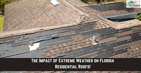 The Impact Of Extreme Weather On Florida Residential Roofs Apc