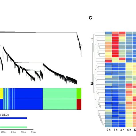 Weighted Gene Co Expression Network Analysis Wgcna Of Degs Obtained