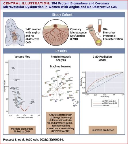 Biomarkers And Coronary Microvascular Dysfunction In Women With Angina