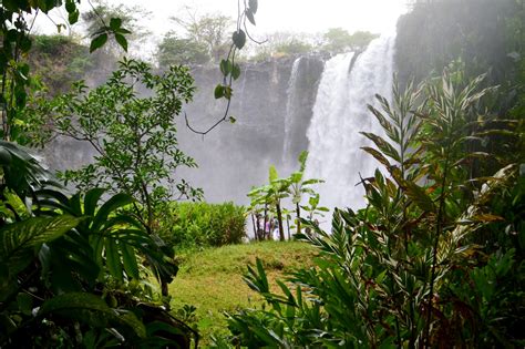 Salto de Eyipantla la majestuosa casa de Tláloc Identidad Veracruz