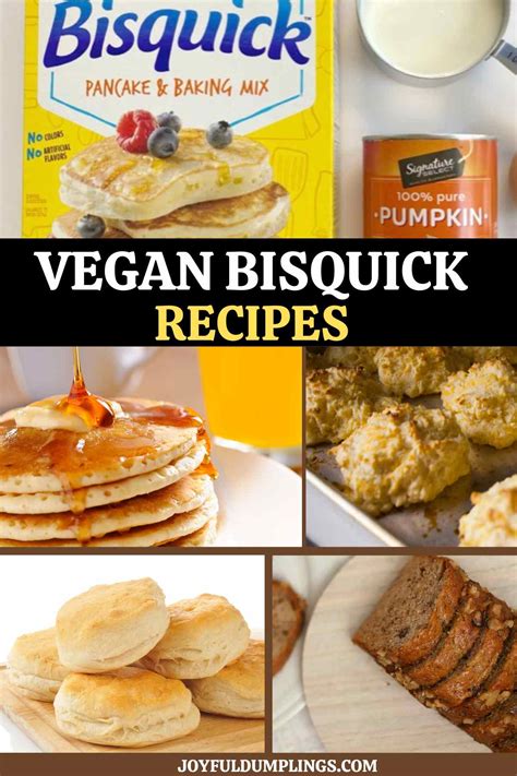 Fluffy Vegan Bisquick Recipes » Joyful Dumplings