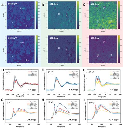 Synchrotron Energy‐dependent Xrf Mappings And Micro‐xanes Measurements Download Scientific