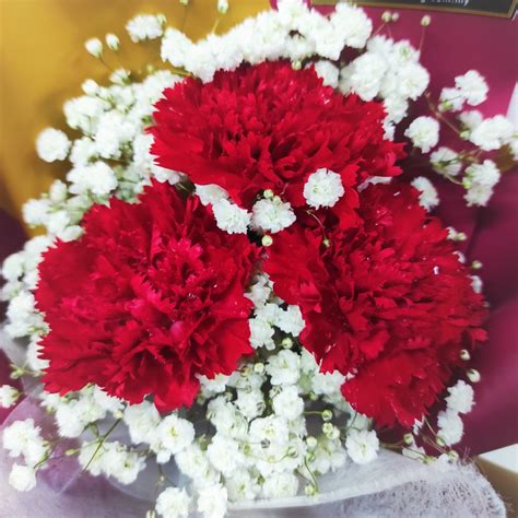 Red Carnation Hand Bouquet Delivery - Blooming Florist