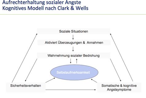 Wie Sieht Das Kognitive Modell Zur Aufrechterhaltung Soz Klinische