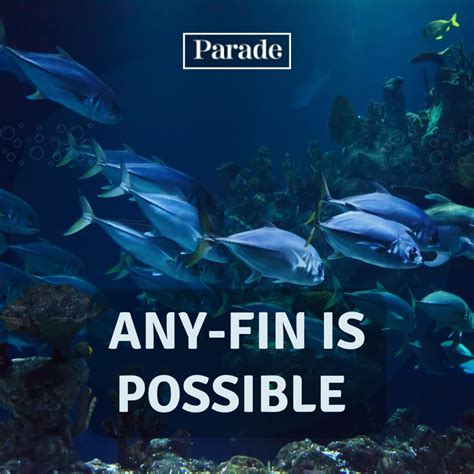 150 Fish Puns That Are Fin-tastic - Parade