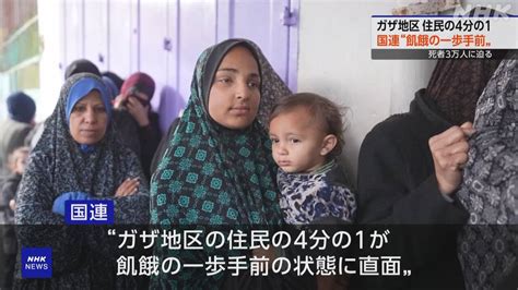 国連 “ガザ地区住民の4分の1が飢餓一歩手前の状態に直面” Nhk イスラエル・パレスチナ