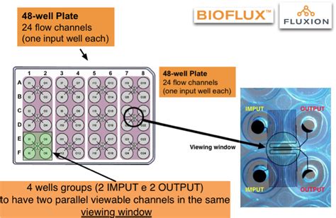 BioFlux Laboratory Of Cell Trafficking And Signal Transduction