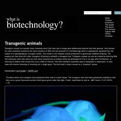 Creating Transgenic Species | Pearltrees