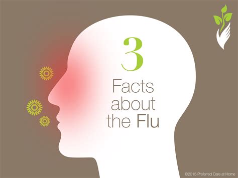 3 Signs That Indicate Your Flu Has Finally Faded Away