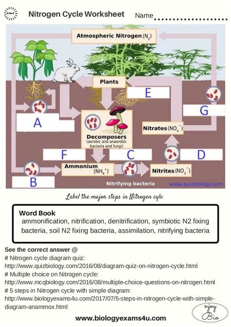 Nutrient Cycles Worksheet Answers Printable Word Searches