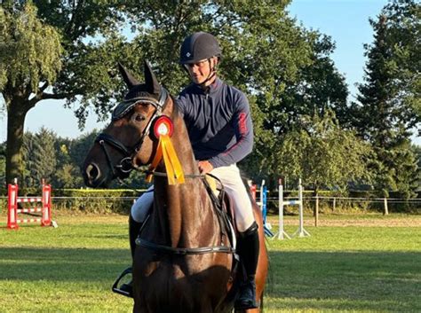 Cci S Deutsches Amateur Championat Langenhagen Siege F R Torben M Lleken Und Leonie