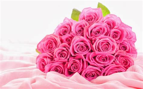 art pictures: Pink Rose Bouquet Wallpapers