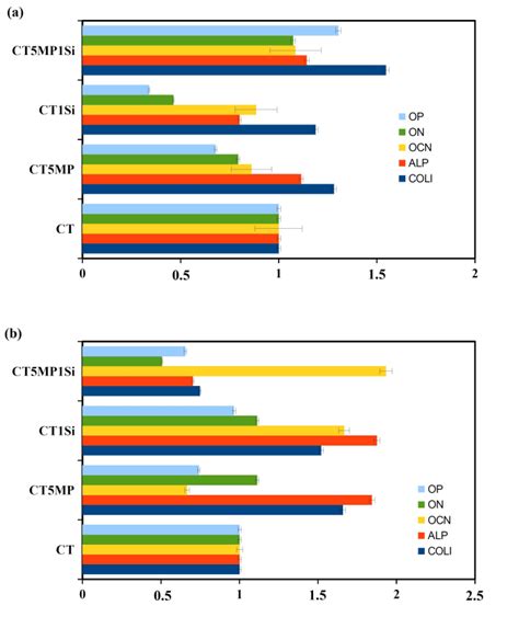 Relative Gene Expression Of Op On Ocn Alp And Col In Mscs Cultured