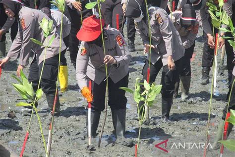 Polda Tanam 77 Ribu Pohon Wujudkan Program Aceh Hijau ANTARA News Aceh