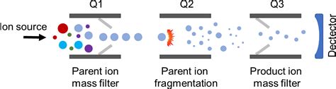 Figure From Comprehensive Overview Of Bottom Up Proteomics Using Mass