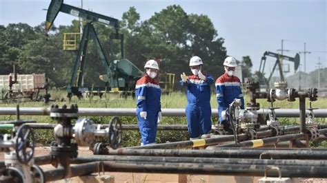 Lifting Minyak Pertamina Hulu Rokan Tembus 59 Juta Barel Di 2023