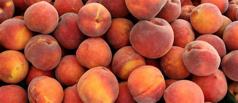 Georgia Peach Festival | Fruit festival in Fort Valley | Where? What? When?