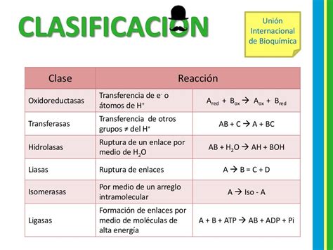 Clasificaci N Enzimas