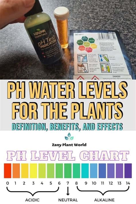 Ph Water Levels For The Plants Definition Benefits And Effects