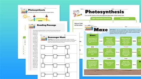 Photosynthesis Worksheets For Middle High School Free To Print