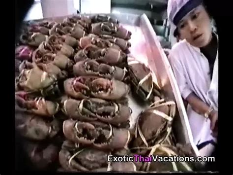 Pattaya Porn Videos XHamster