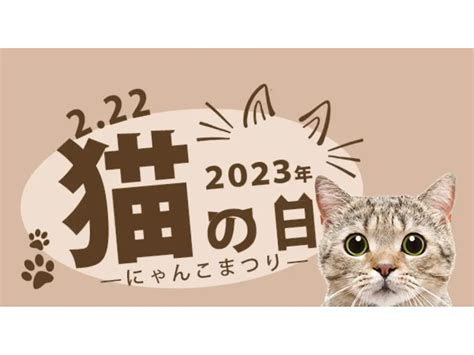 本日猫の日、oioi の「猫の日 Meets 伝統工芸」のスペシャルイベントのお知らせ🐱 猫 猫の日 And More 江戸扇子と