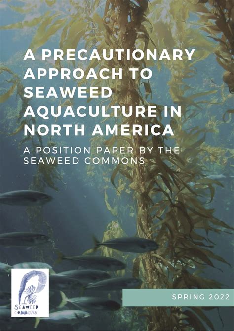 Seaweed Commons Releases A Position Paper Urging For A Precautionary