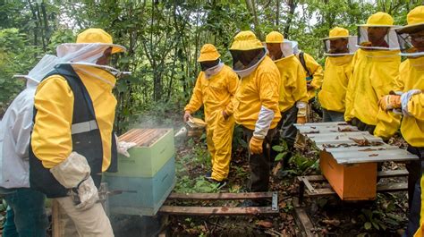 Apicultores son capacitados en prácticas sanitarias del manejo de