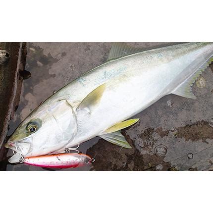 DUEL バレットダイブ ルアー釣り 仕掛け ルアー 釣り g デュエル ハードコア バレットダイブ mm F 青物 ぶっ飛び 各色 HARDCORE 仕掛