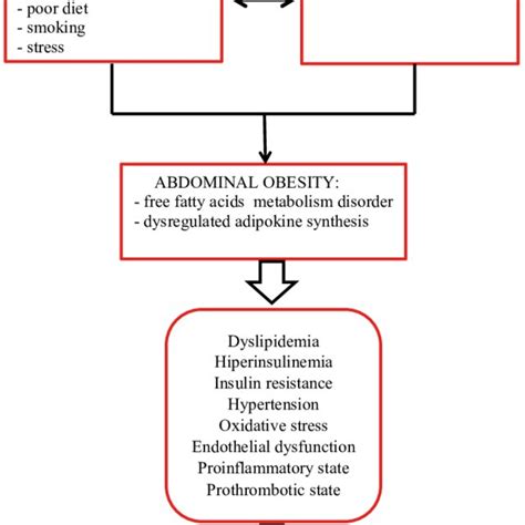 Causes And Consequences Of The Metabolic Syndrome MetS 11 15 17