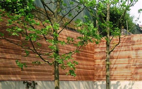 Wooden Slatted Horizontal Privacy Screen Trellis in Cedar Pine and ...