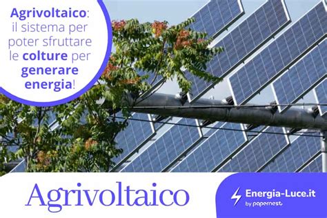 Agrivoltaico Il Sistema Fotovoltaico In Agricoltura Energia Luce It