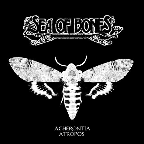 Acherontia Atropos | Sea of Bones