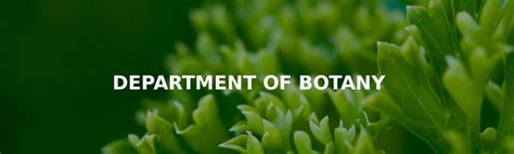 Department Of Botany